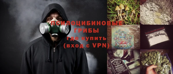 сатива Алексеевка